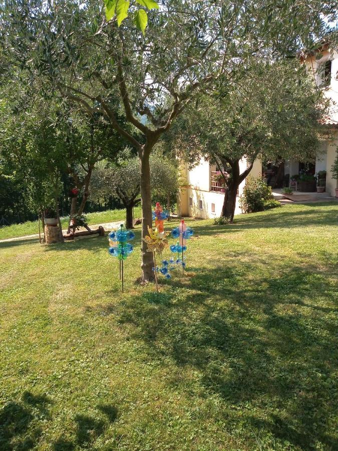 B&B Santa Fosca Pederobba Экстерьер фото