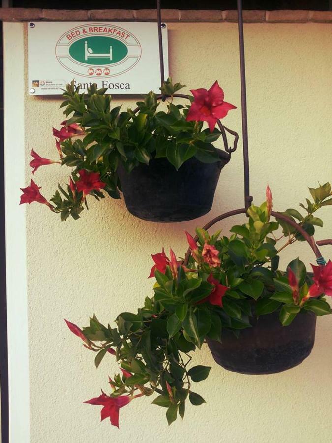 B&B Santa Fosca Pederobba Экстерьер фото