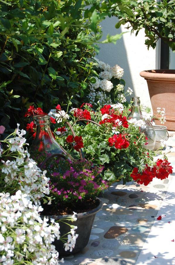 B&B Santa Fosca Pederobba Экстерьер фото