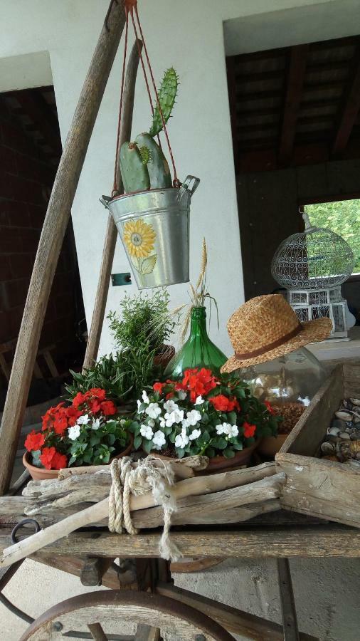 B&B Santa Fosca Pederobba Экстерьер фото